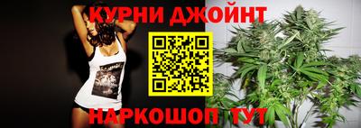 гидра Камышлов