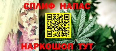 СК Тверь